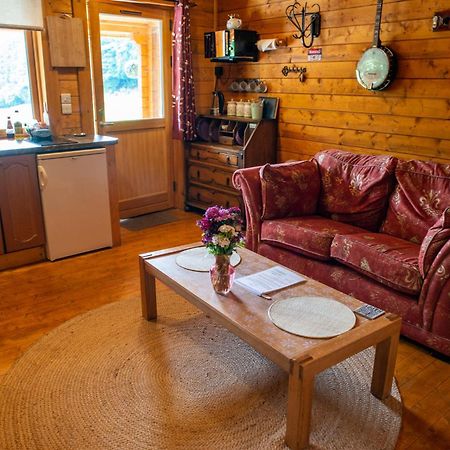 Blossom Cabin - Little Log Cabin In Wales Newtown  Eksteriør billede