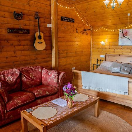 Blossom Cabin - Little Log Cabin In Wales Newtown  Eksteriør billede