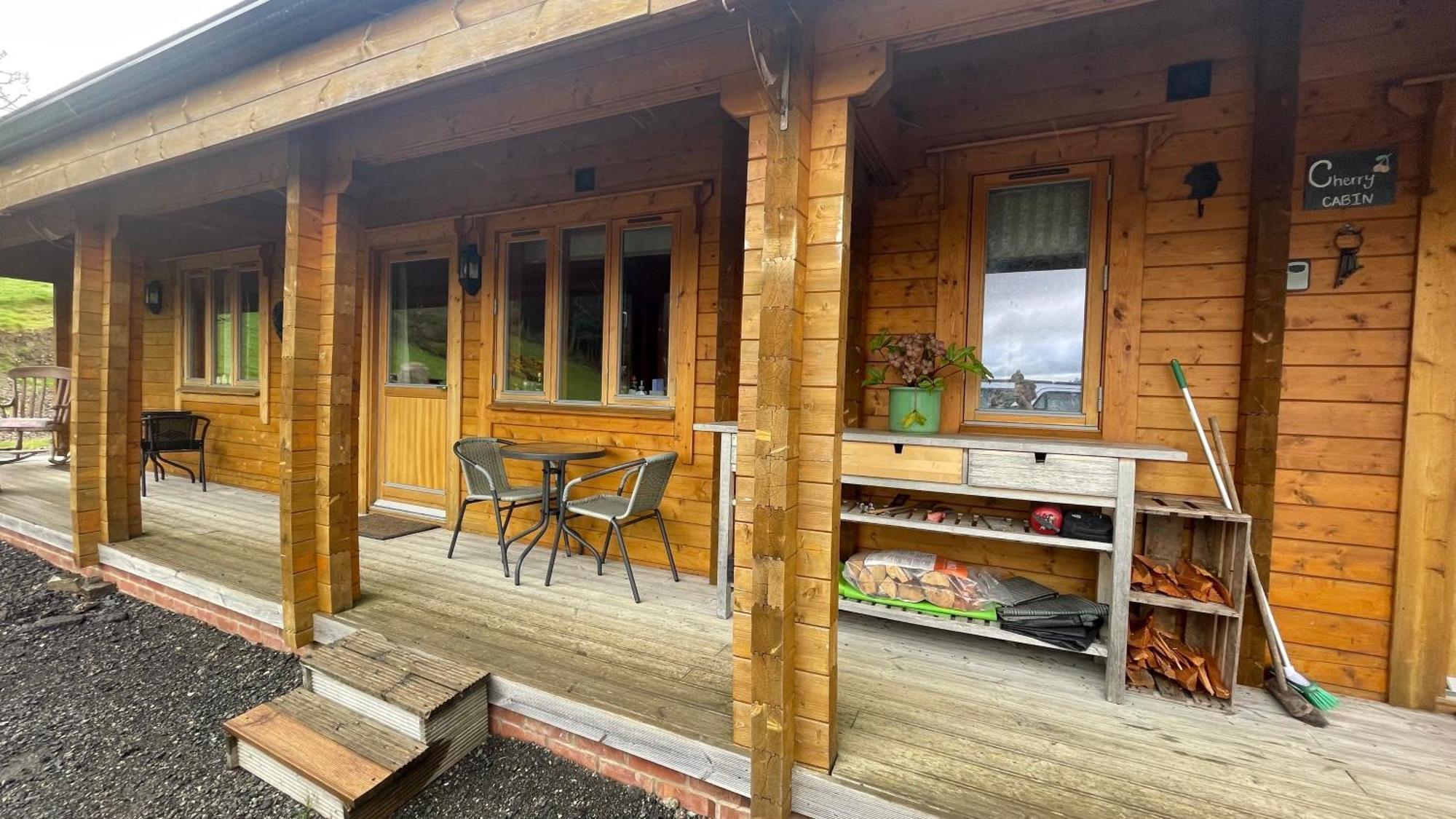 Blossom Cabin - Little Log Cabin In Wales Newtown  Eksteriør billede