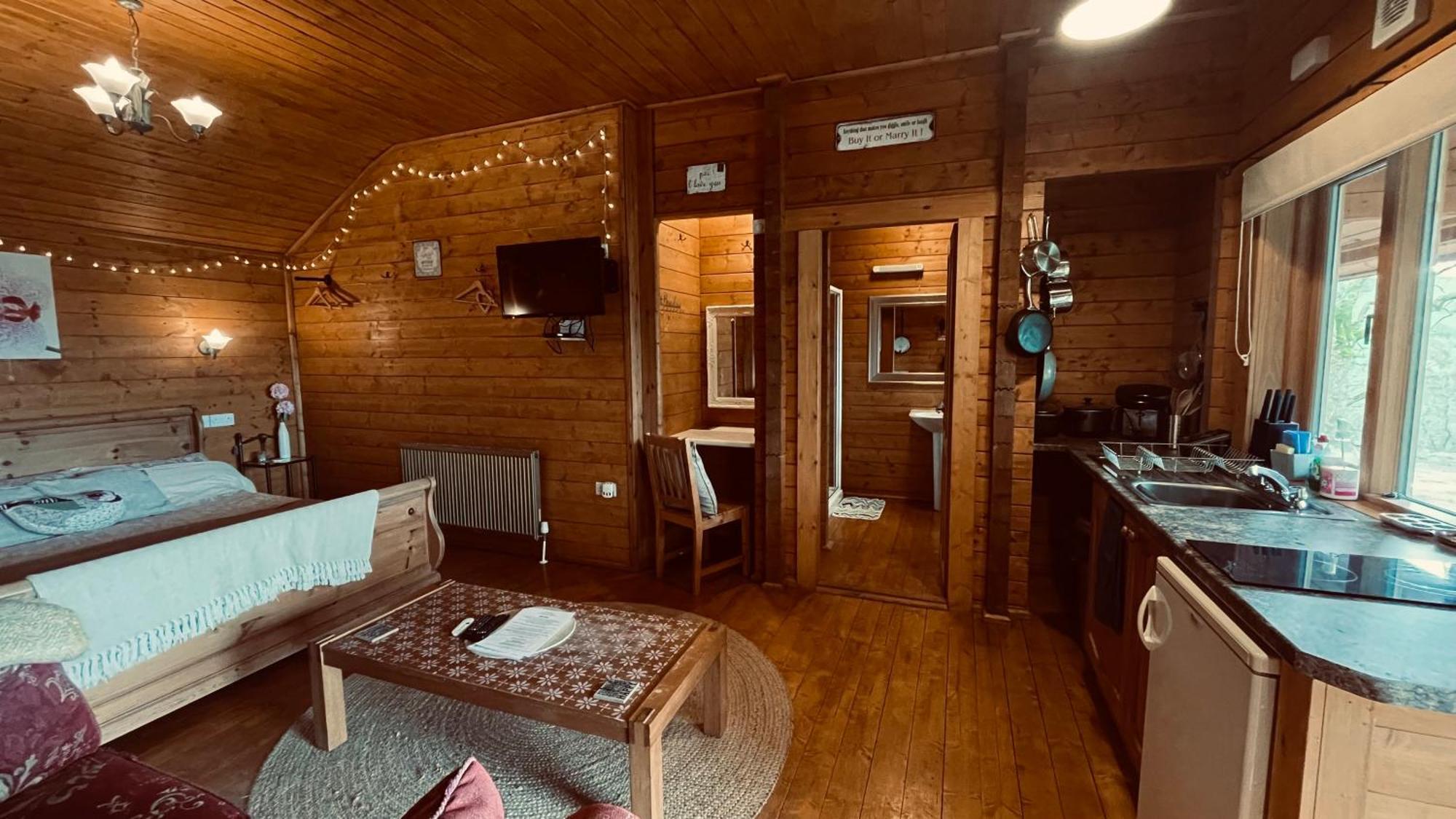 Blossom Cabin - Little Log Cabin In Wales Newtown  Eksteriør billede