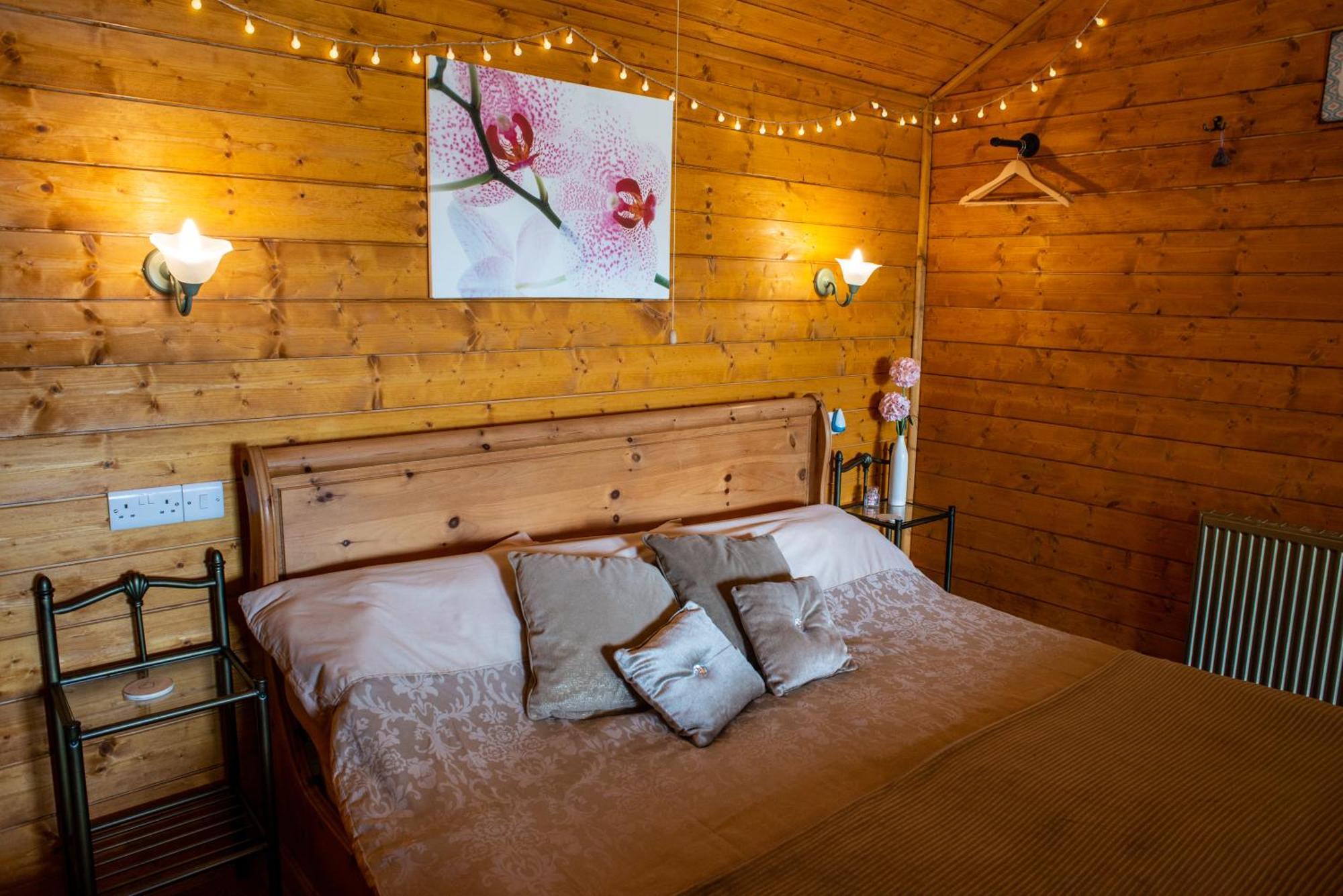 Blossom Cabin - Little Log Cabin In Wales Newtown  Eksteriør billede